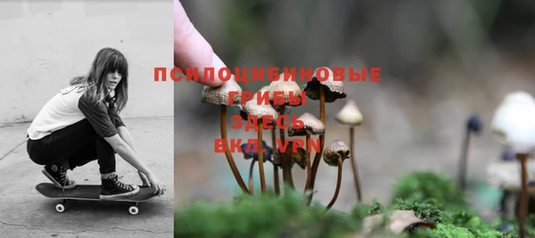 твердый Абаза