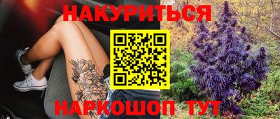амф Нальчик
