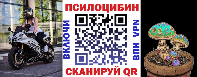 Псилоцибиновые грибы Psilocybe  Тула 