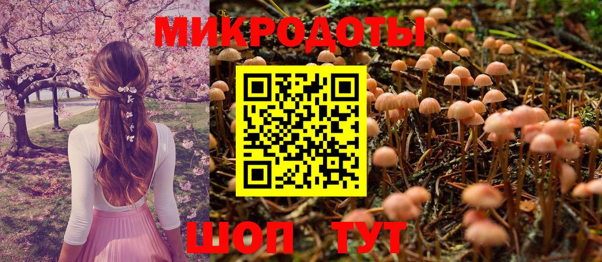 Псилоцибиновые грибы Psilocybe Тула